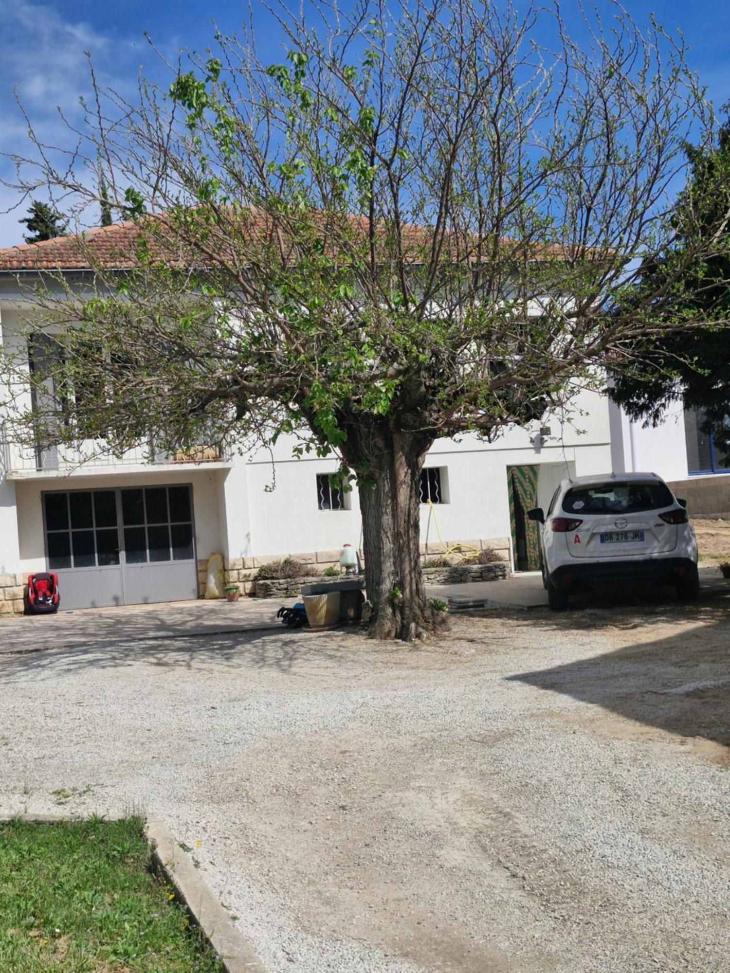 Maison Le Murier أوبيغنان المظهر الخارجي الصورة